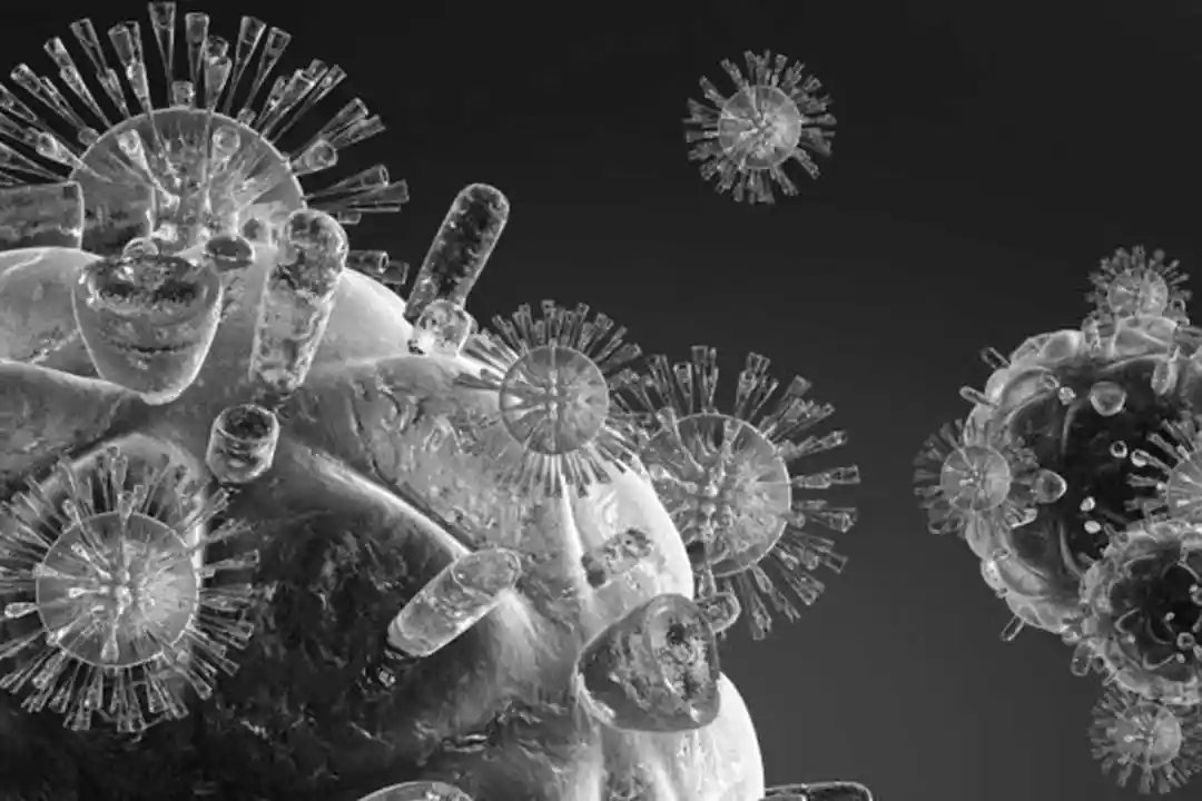 Black and white 3D render of virus particles with spiky protein surfaces floating against a dark background