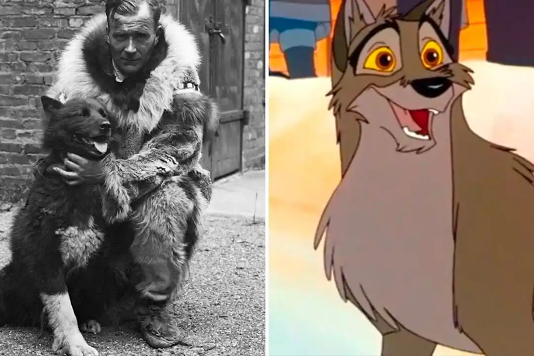 Side-by-side of the real sled dog Balto with a man in furs and the animated Balto from the 1995 film