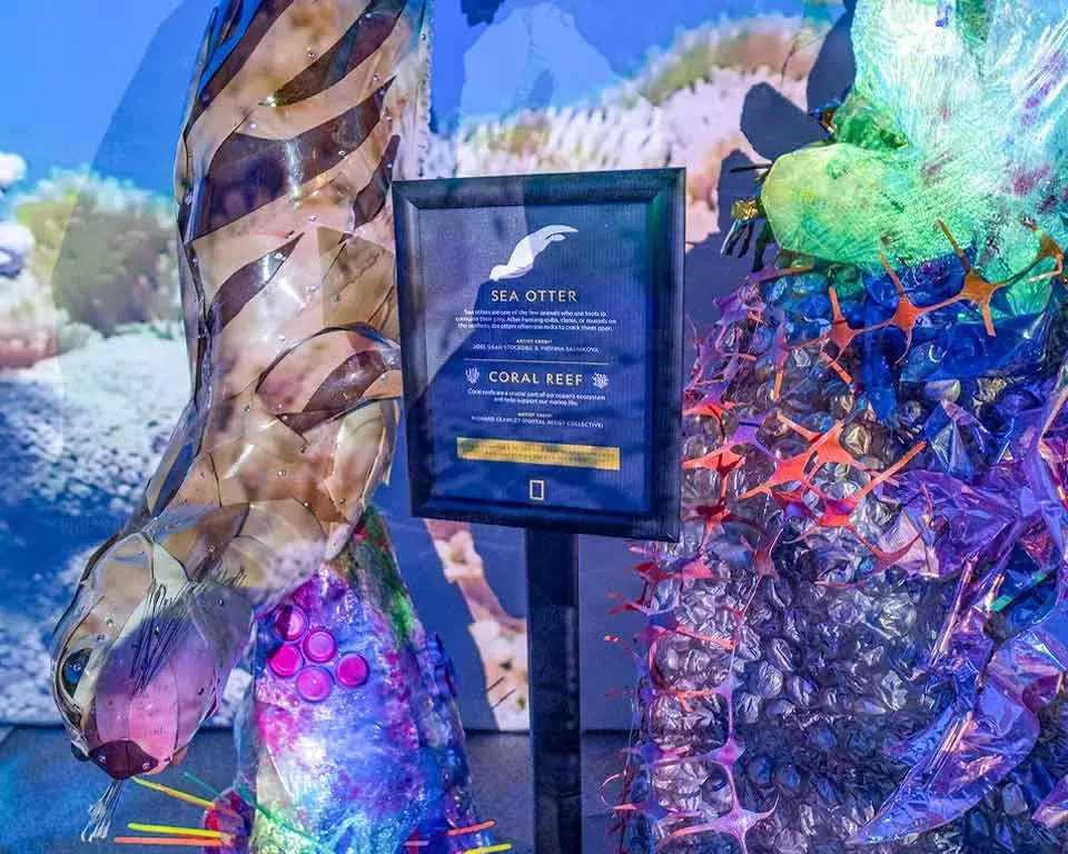 Reclaimed-material art installation in the Beneath the Blue immersive exhibit