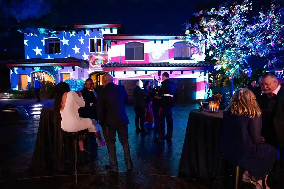 Marine Ball Home Projection