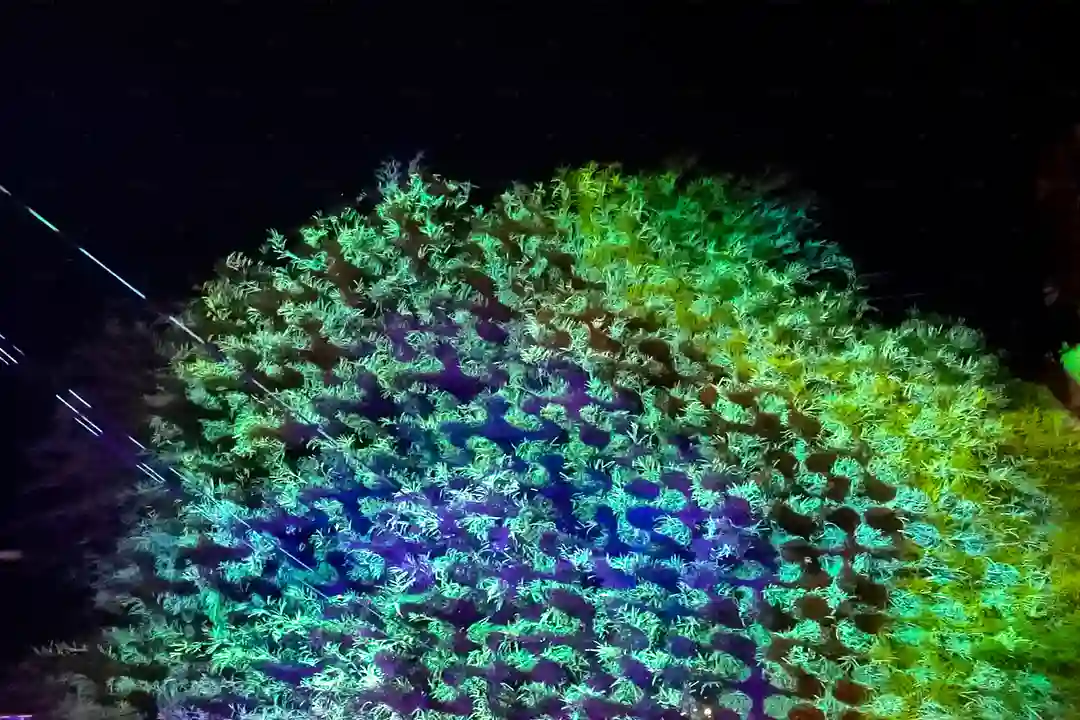 Picnic In The Alley Ferguson Las Vegas Art District Event Tree Projection Mapping