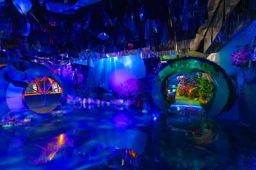 Toro Verde Puerto Rico Adventure Park 3d Projection Mapping Doorways Shiny Floor