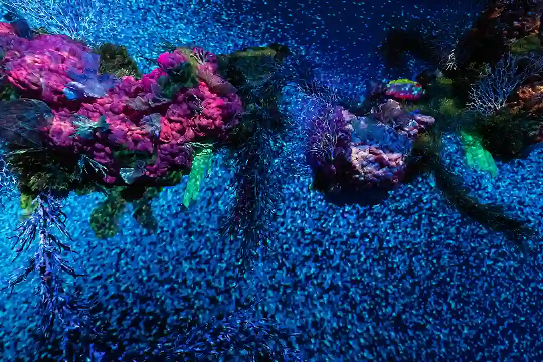 Toro Verde Puerto Rico Adventure Park Sea Coral