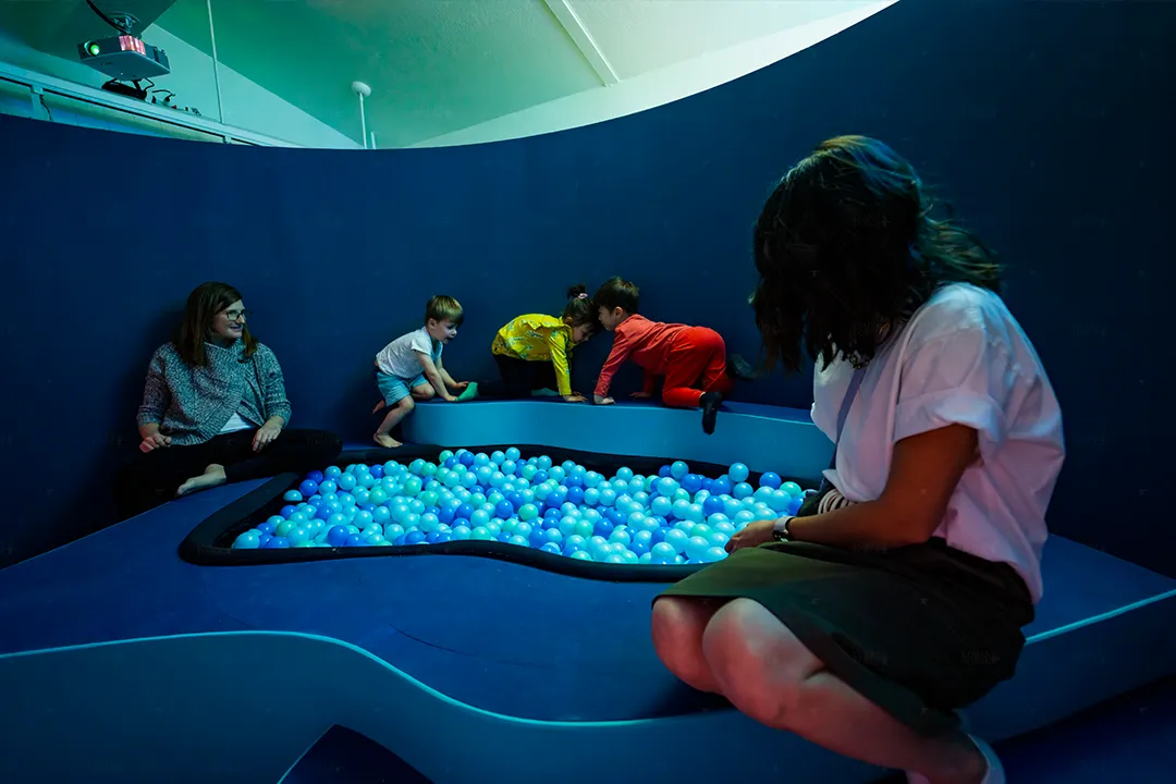 Wild Child Ball Pit Parents And Kids