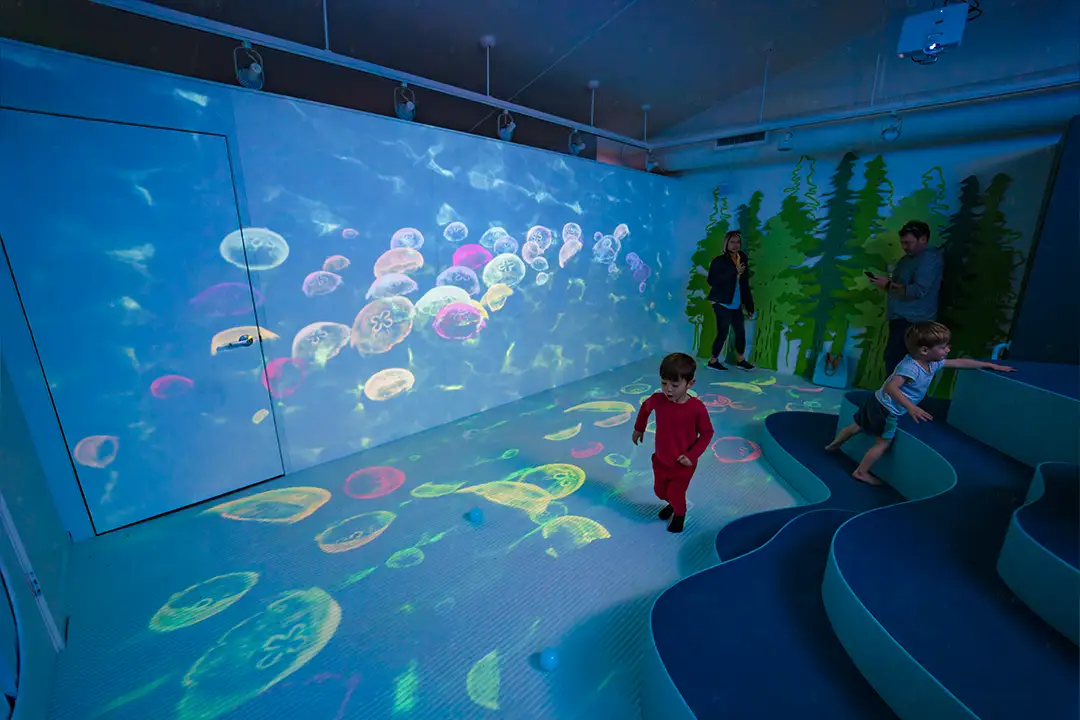 Wild Child Interactive Play Room Kids Playing