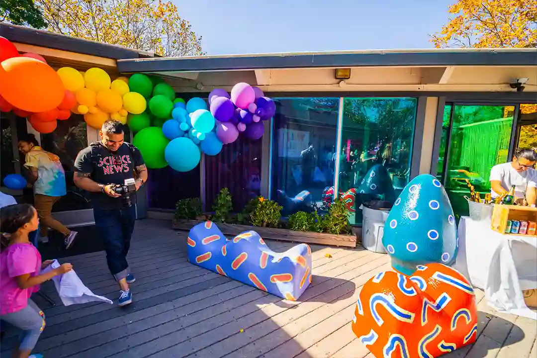 Wild Child Outdoor Colorful Event Space