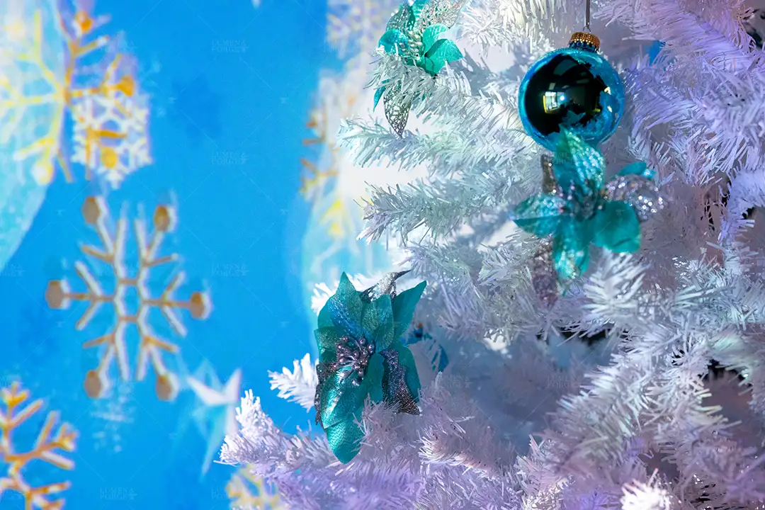 Christmas Projection Decorations