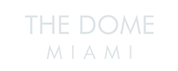 The Dome Miami Logo, white, small